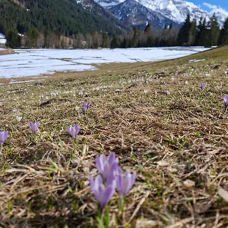 Gæstehus 4 Mountains 3*