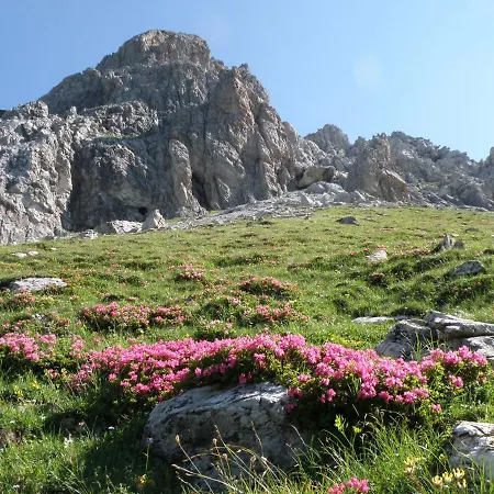 4 Mountains كلينارل