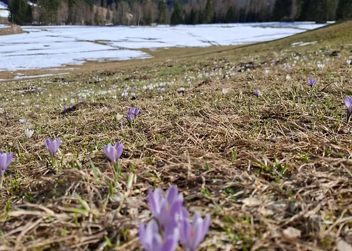 Gæstehus 4 Mountains 3*