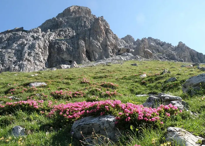 4 Mountains Kleinarl